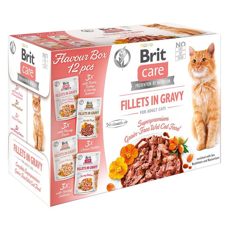 E-shop BRIT CARE cat kapsa FILLET in GRAVY - 12x85g