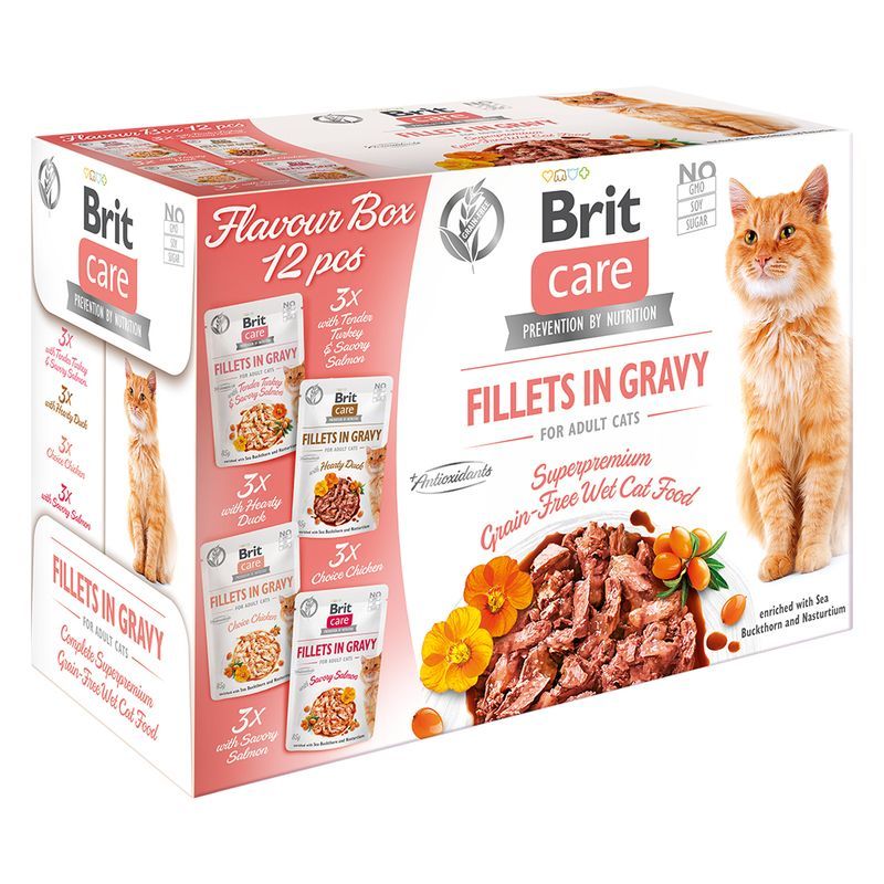 BRIT CARE cat kapsa FILLET in GRAVY - 12x85g