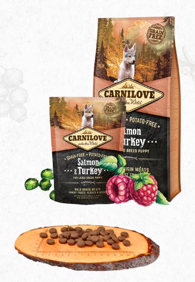 E-shop CARNILOVE PUPPY large SALMON/turkey - 12kg