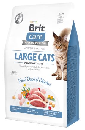 E-shop BRIT CARE cat GF LARGE cats power/vitality - 2kg