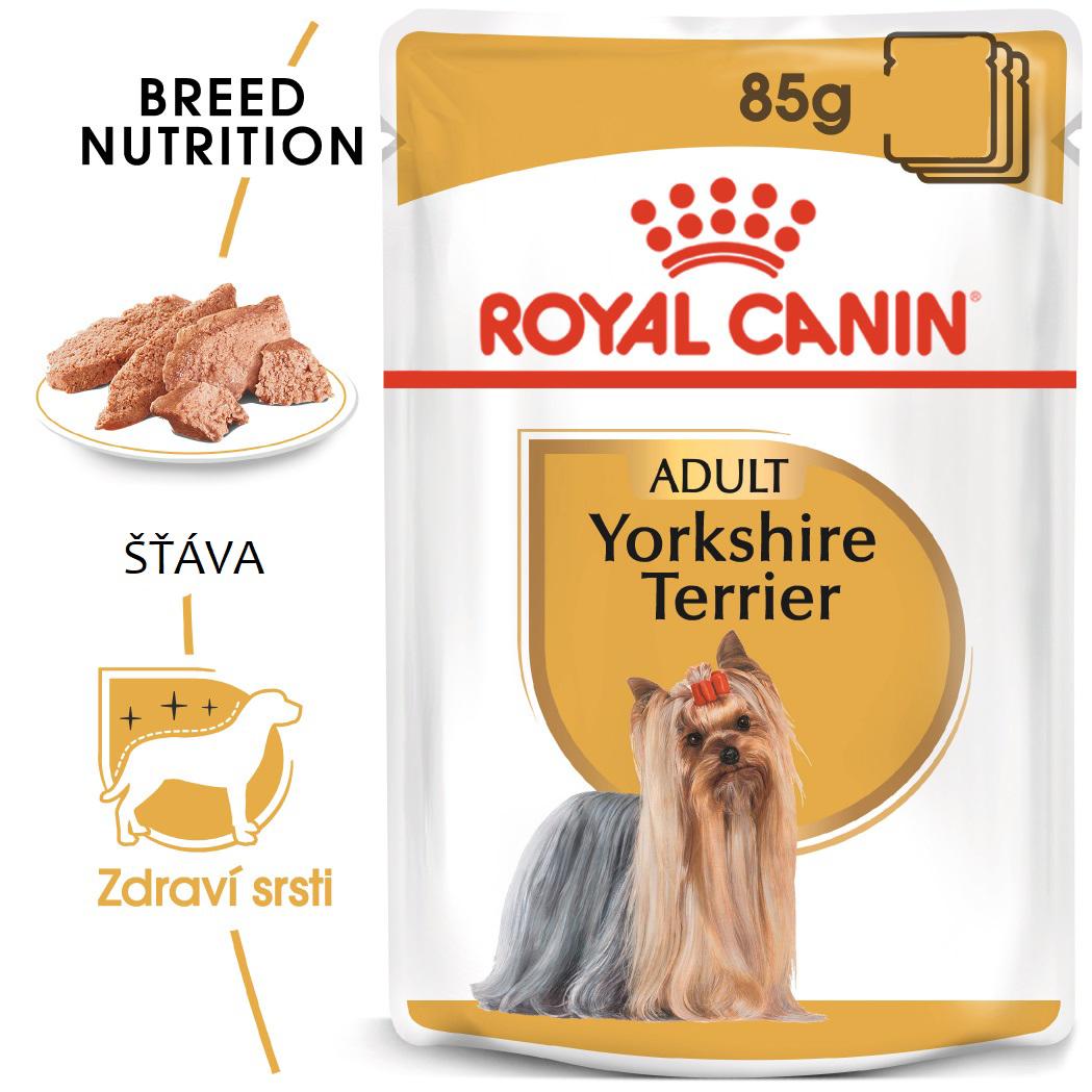 Royal Canin Yorkshire Loaf - kapsička s paštikou pro jorkšíra - 85g