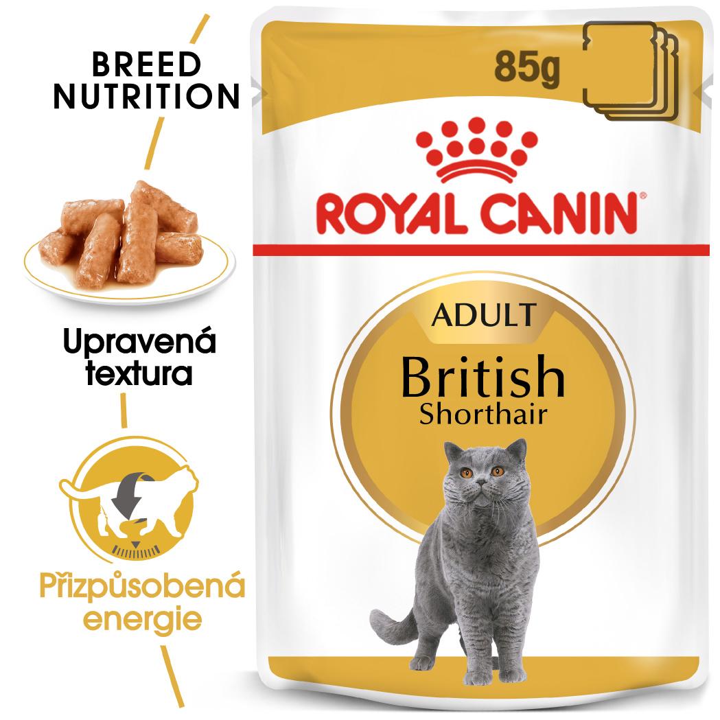 Royal Canin British Shorthair Gravy - kapsička pro britské krátkosrsté kočky ve šťávě - 85g