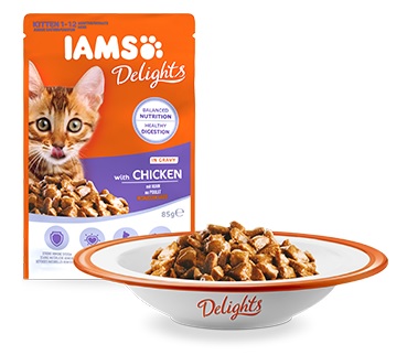 IAMS cat kapsa DELIGHTS KITTEN chicken - 4x85g