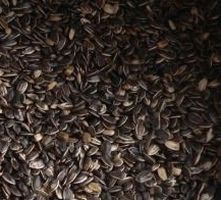 Avicentra Slunečnice - 1kg