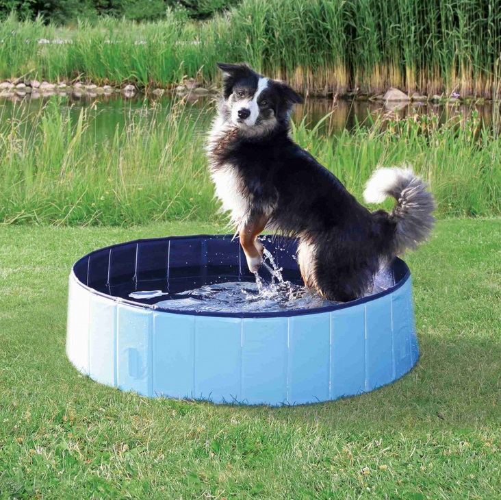 Trixie dog BAZÉN pro psy / modrý - 80x20cm