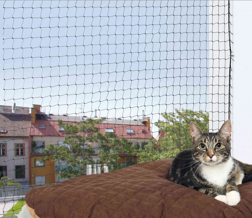 SÍŤ ochranná pro kočky - 3x2m / transparentní