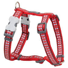 Postroj RD REFLECTIVE RED - 2,5/58-80cm