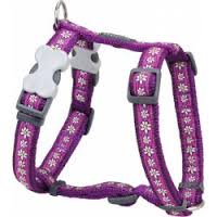 Postroj RD DAISY chain PURPLE - 12mm/30-44cm